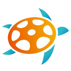 Tortue
